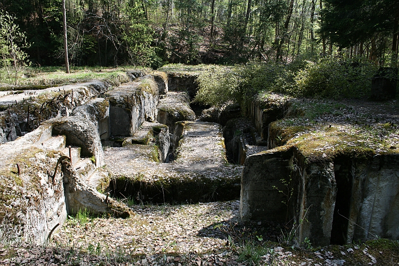 a 313